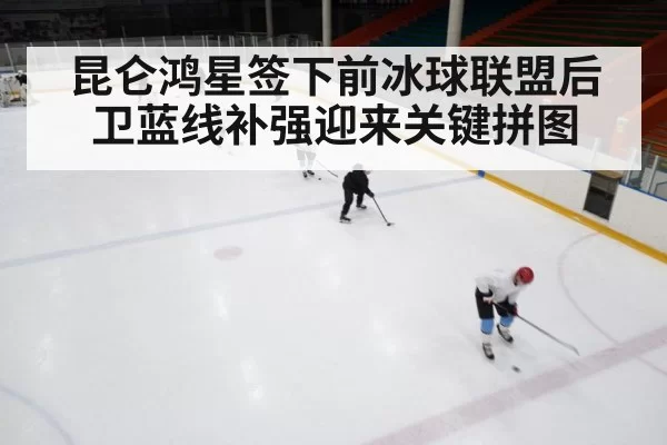 昆仑鸿星签下前冰球联盟后卫蓝线补强迎来关键拼图